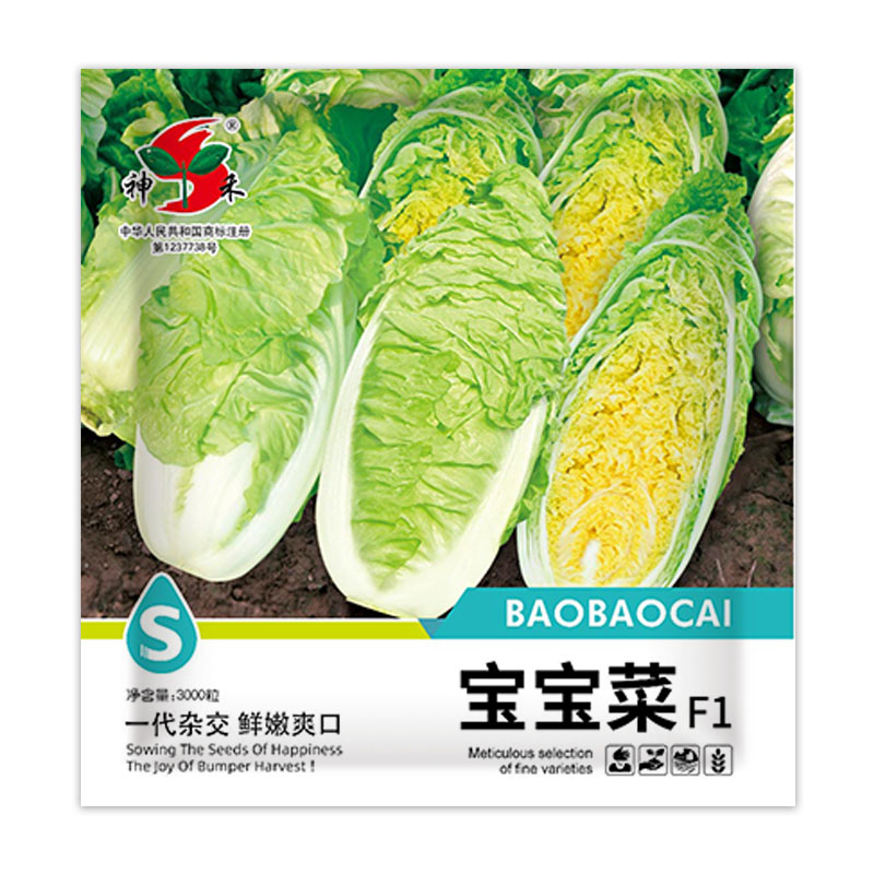 3000粒 宝宝菜.jpg