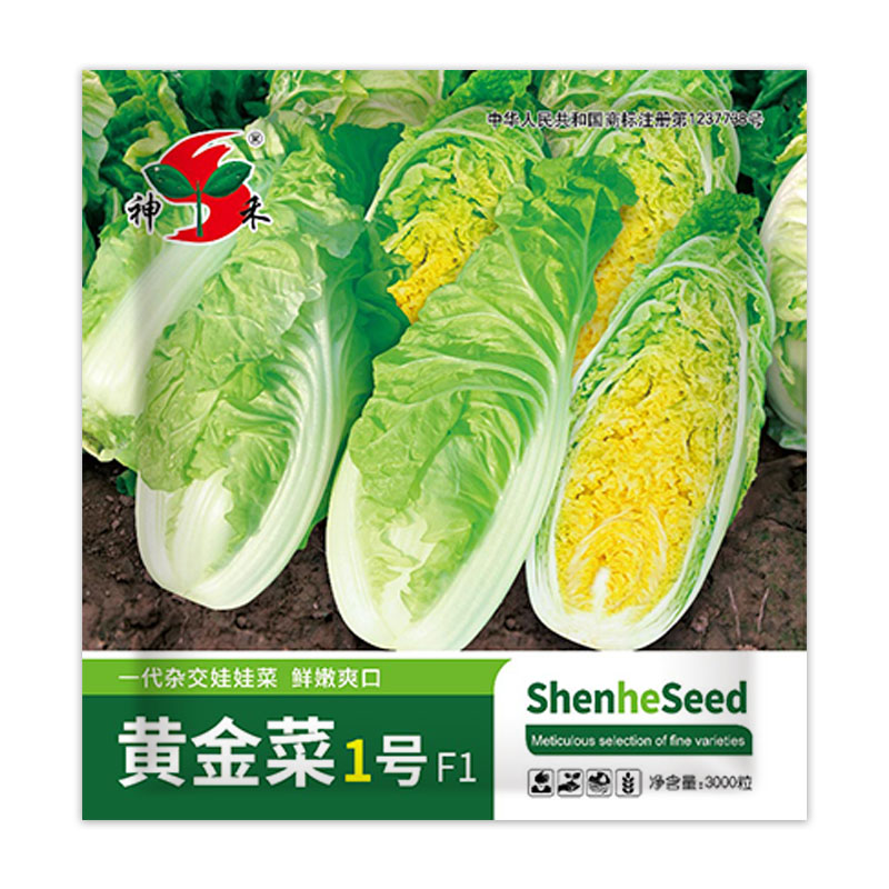 3000粒 黄金菜1号.jpg