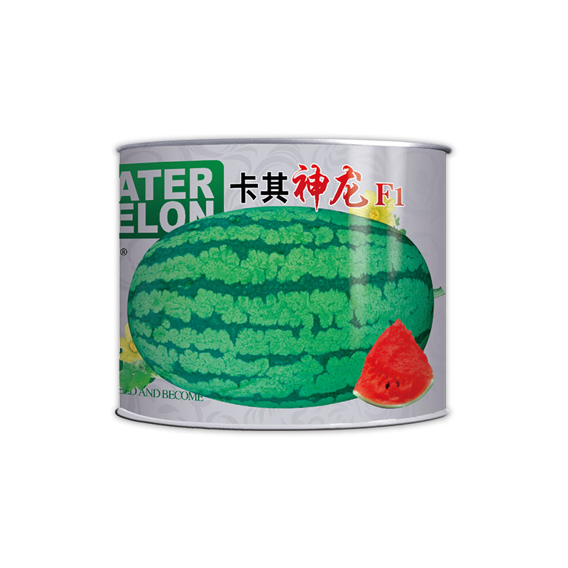 800粒 卡其神龙.jpg