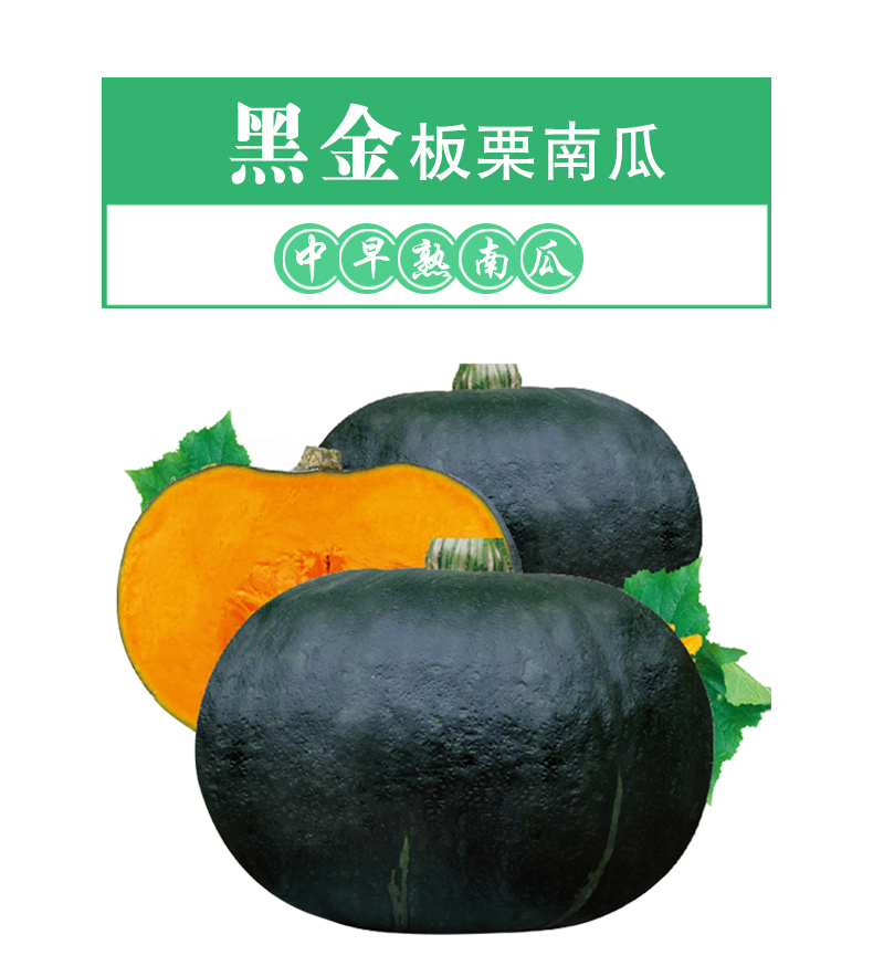 详情页1.jpg