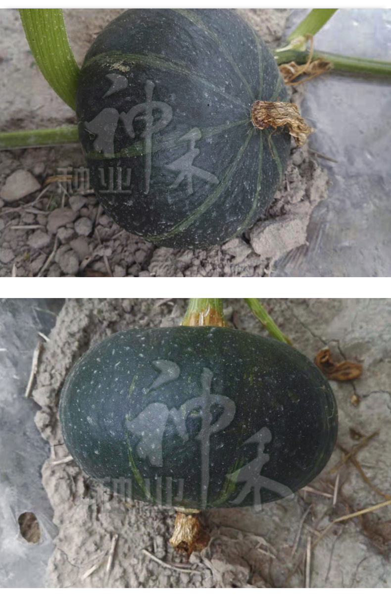 详情页4.jpg