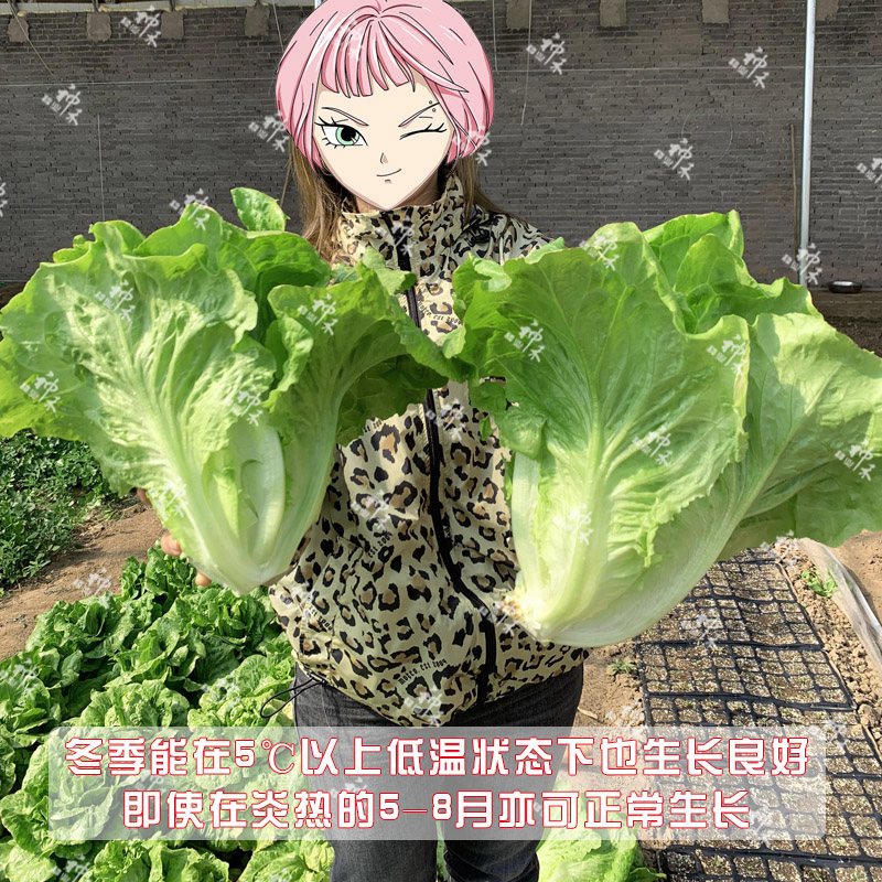 主图4.jpg