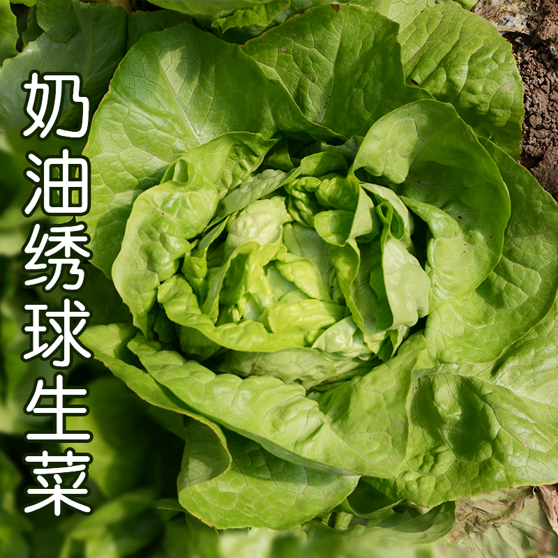 未标题-4.jpg