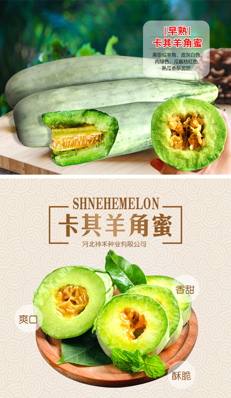 详情1.jpg