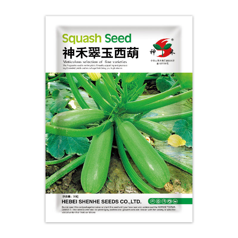 翠玉西葫.jpg