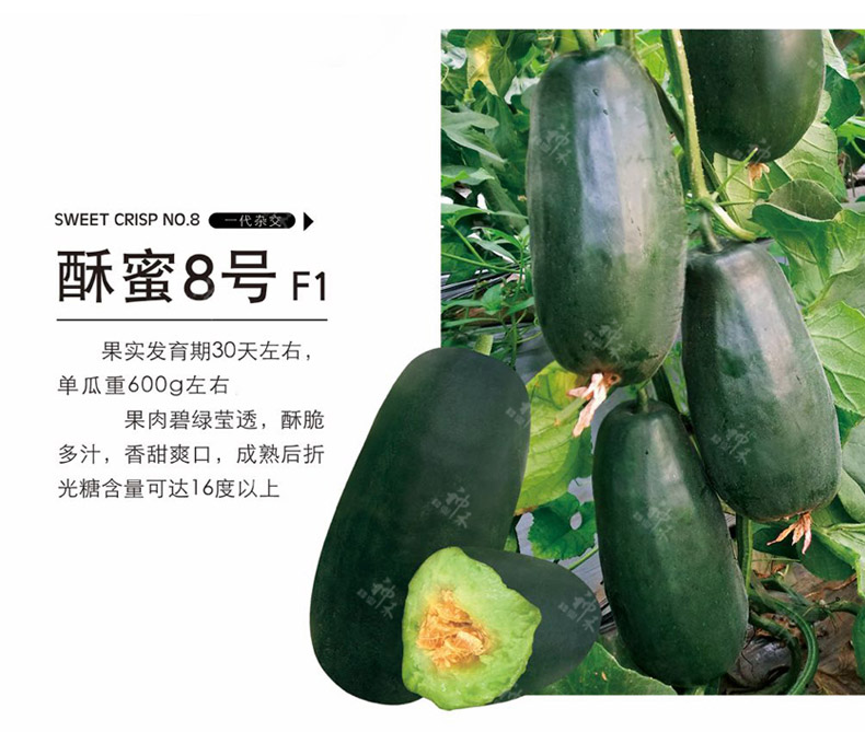 详情3.jpg