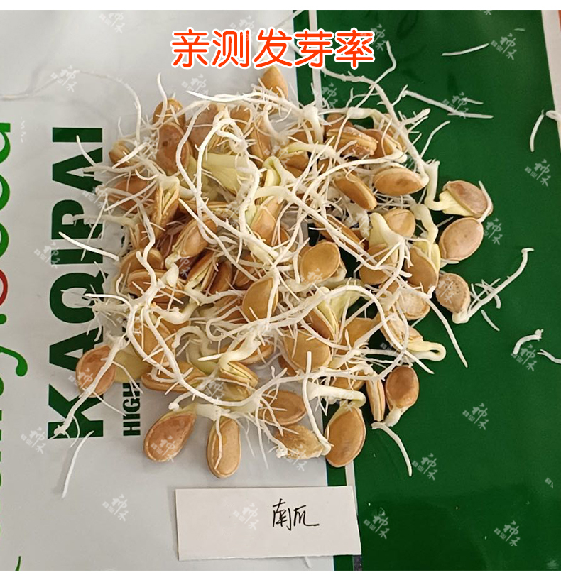 详情5.jpg