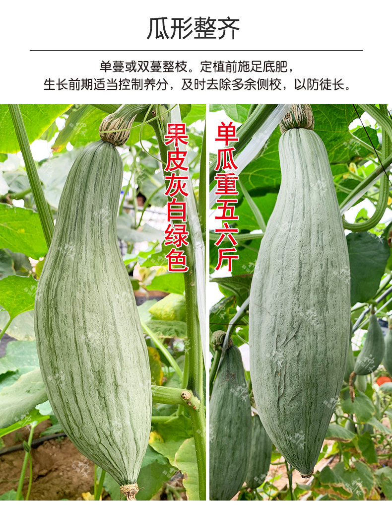 详情3.jpg