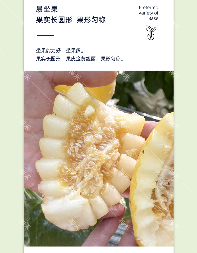 详情4.png
