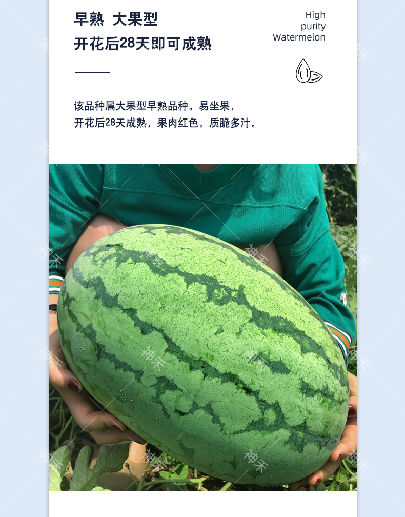 详情3.png