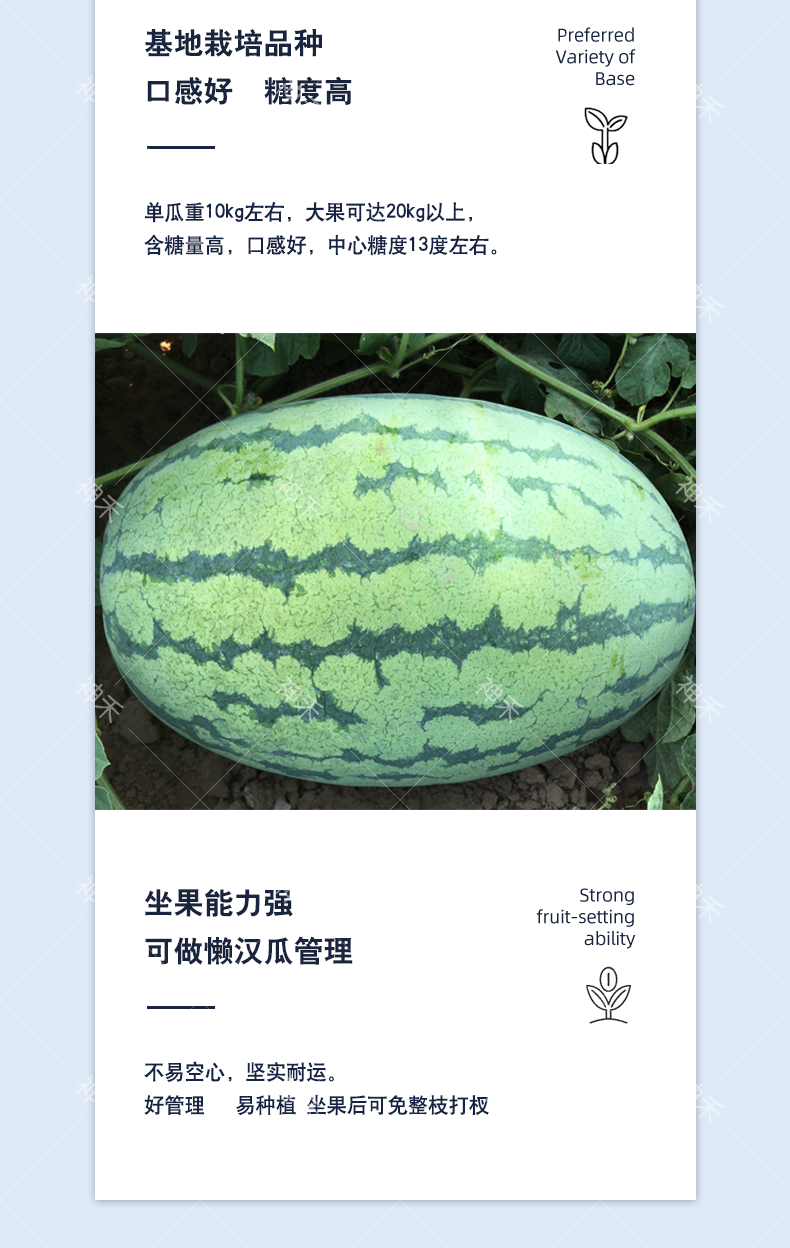 详情4.png