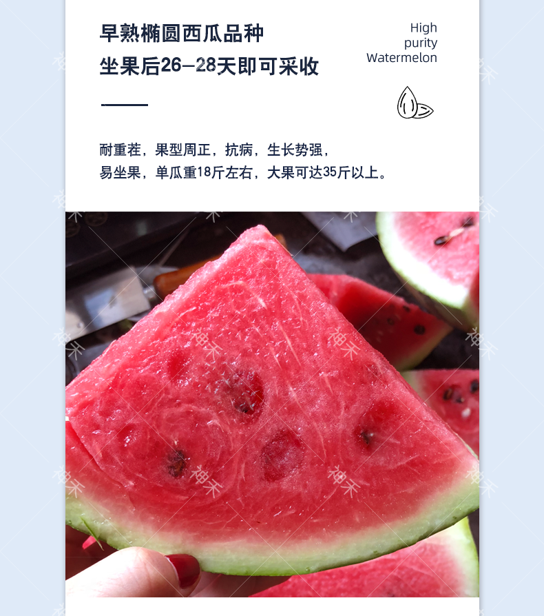 详情3.png