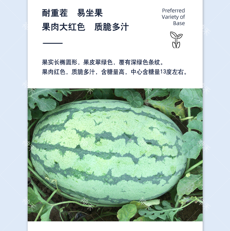 详情4.png