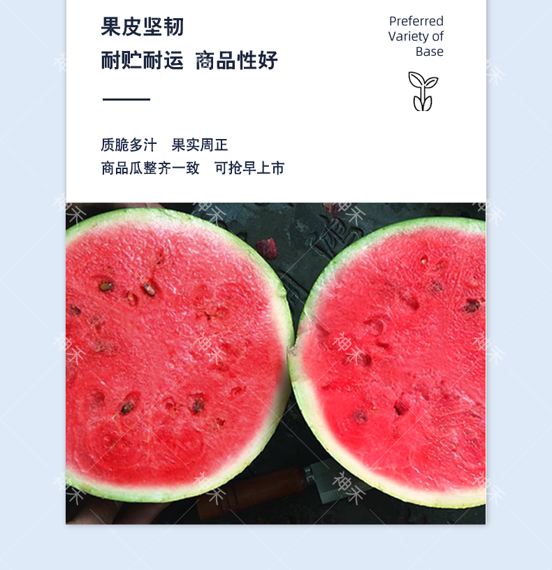 详情5.png