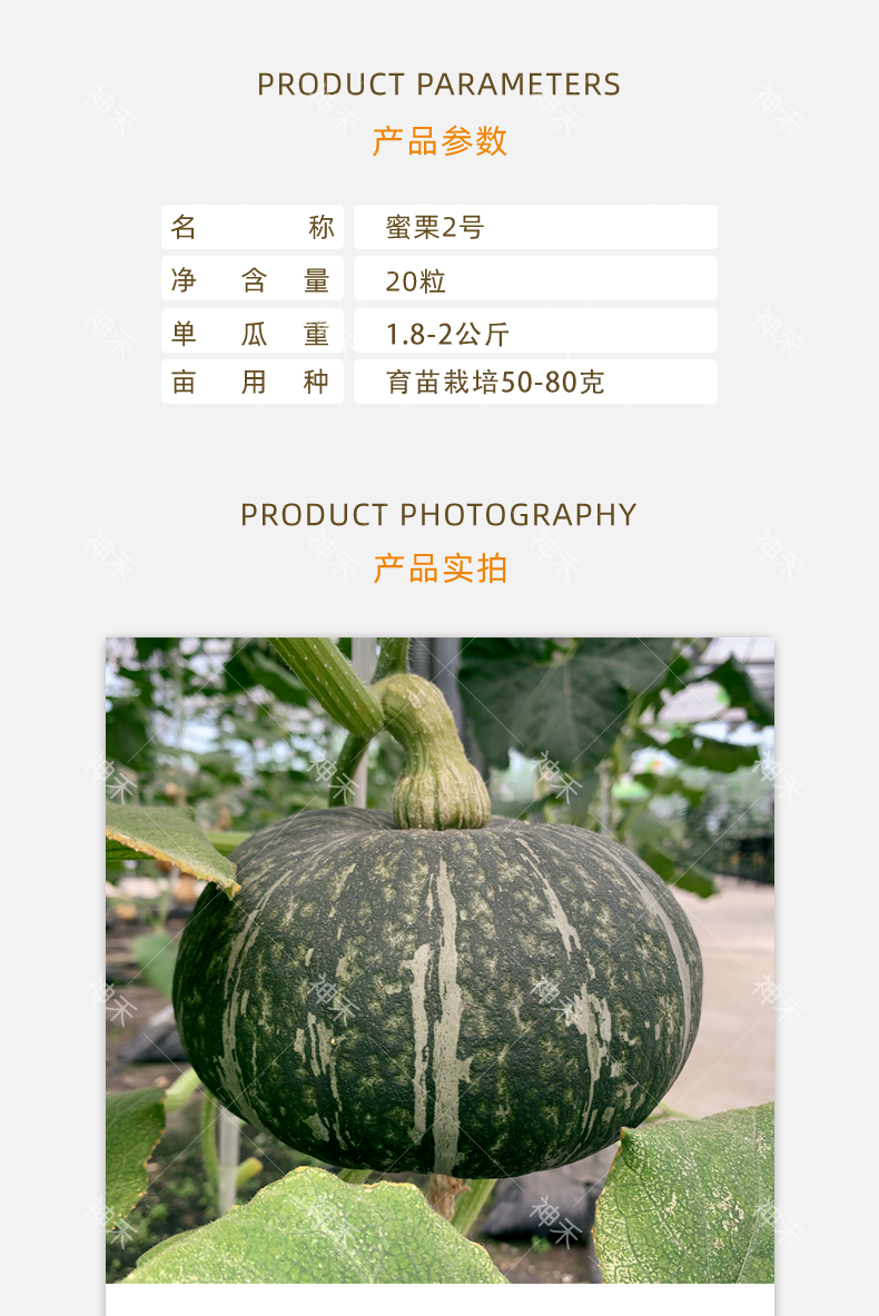 详情2.png