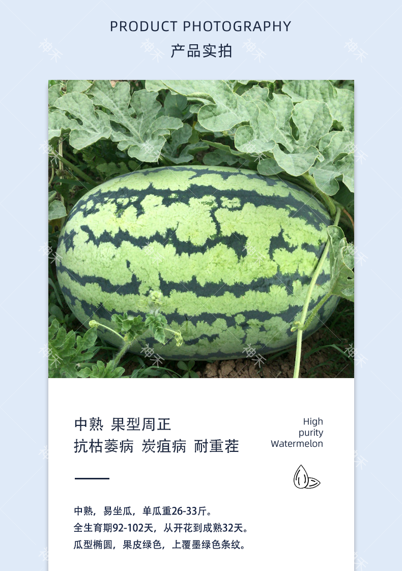 详情3.png