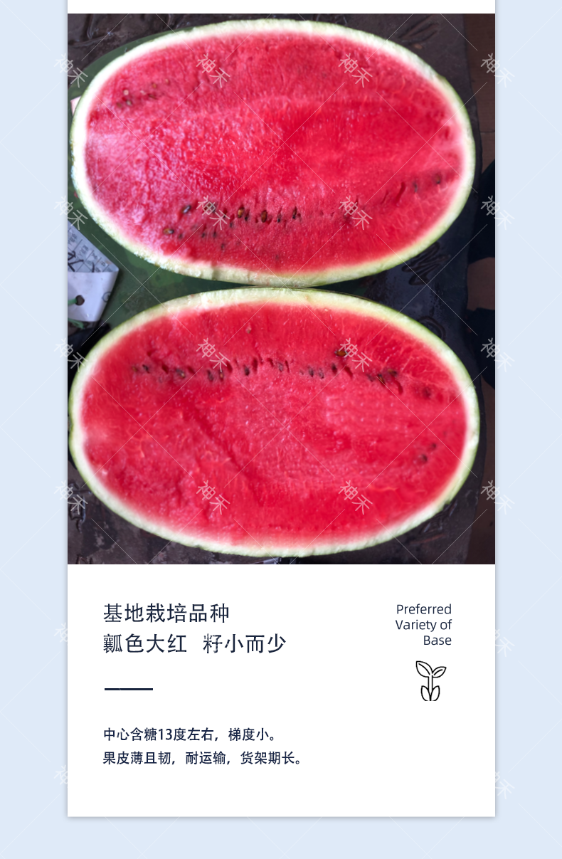 详情4.png
