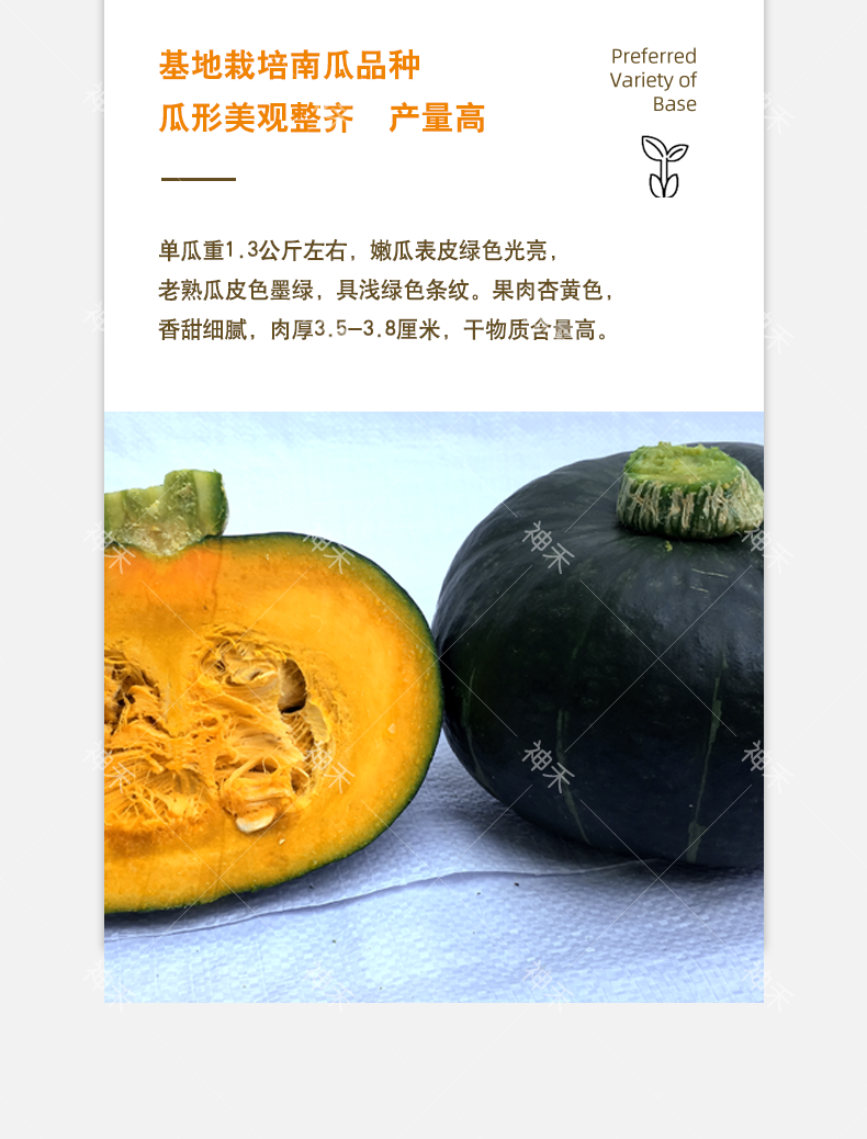 详情4.png