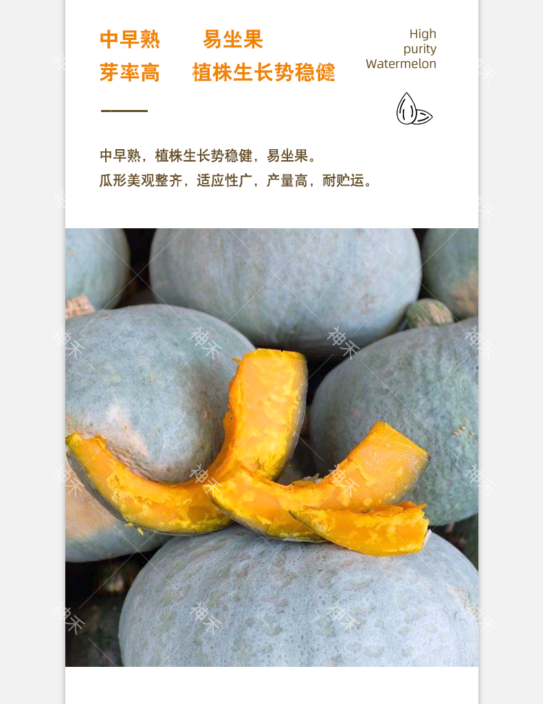 详情3.png