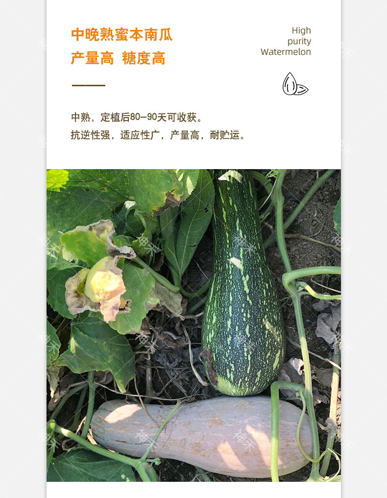 详情3.png