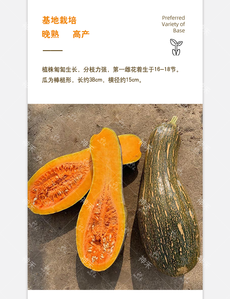 详情4.png