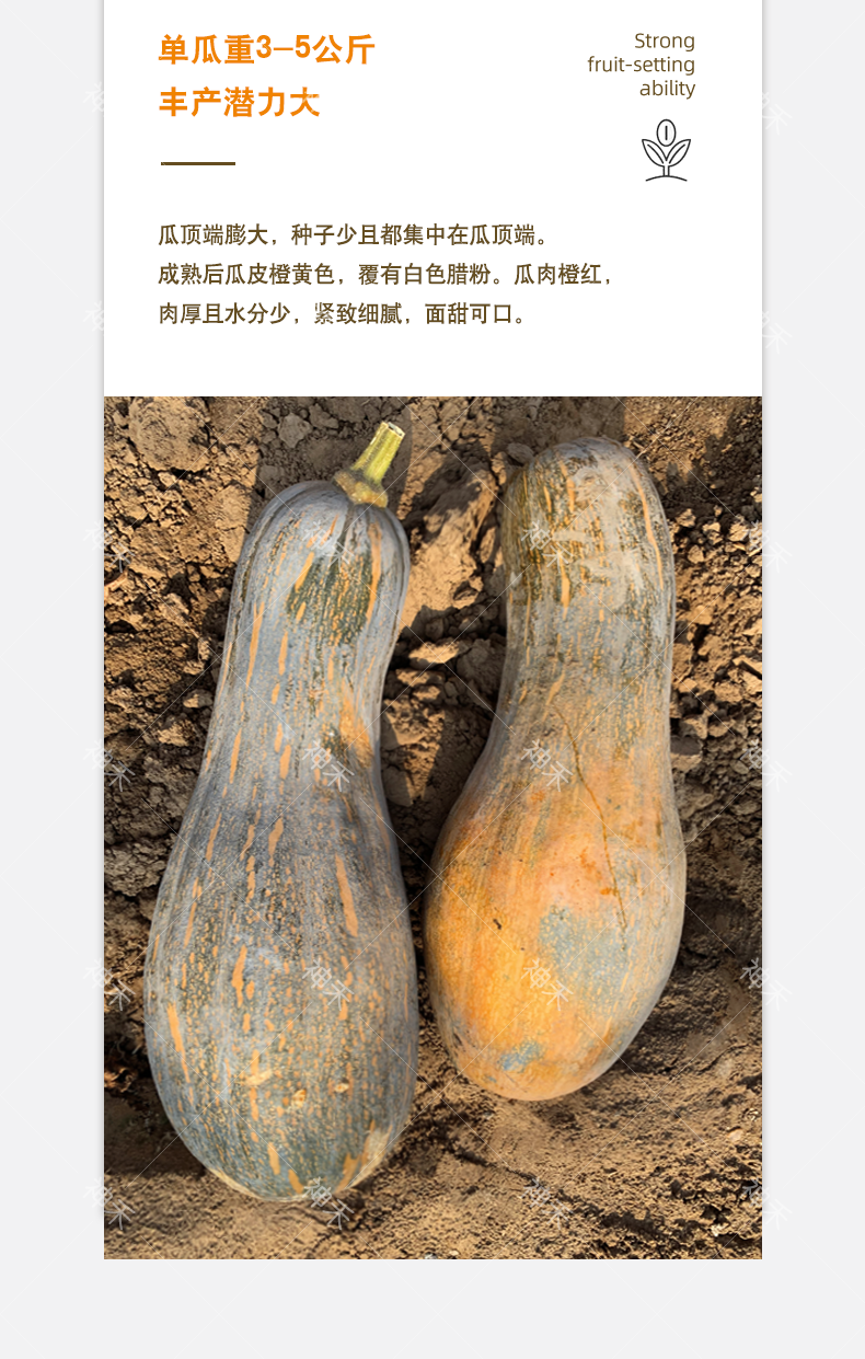 详情5.png