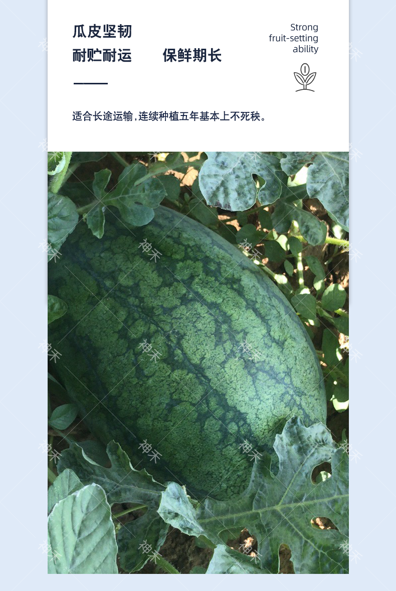 详情5.png
