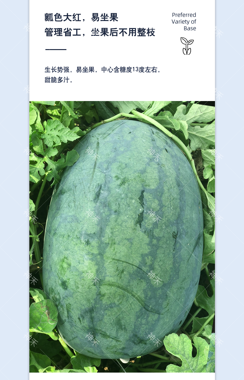 详情4.png