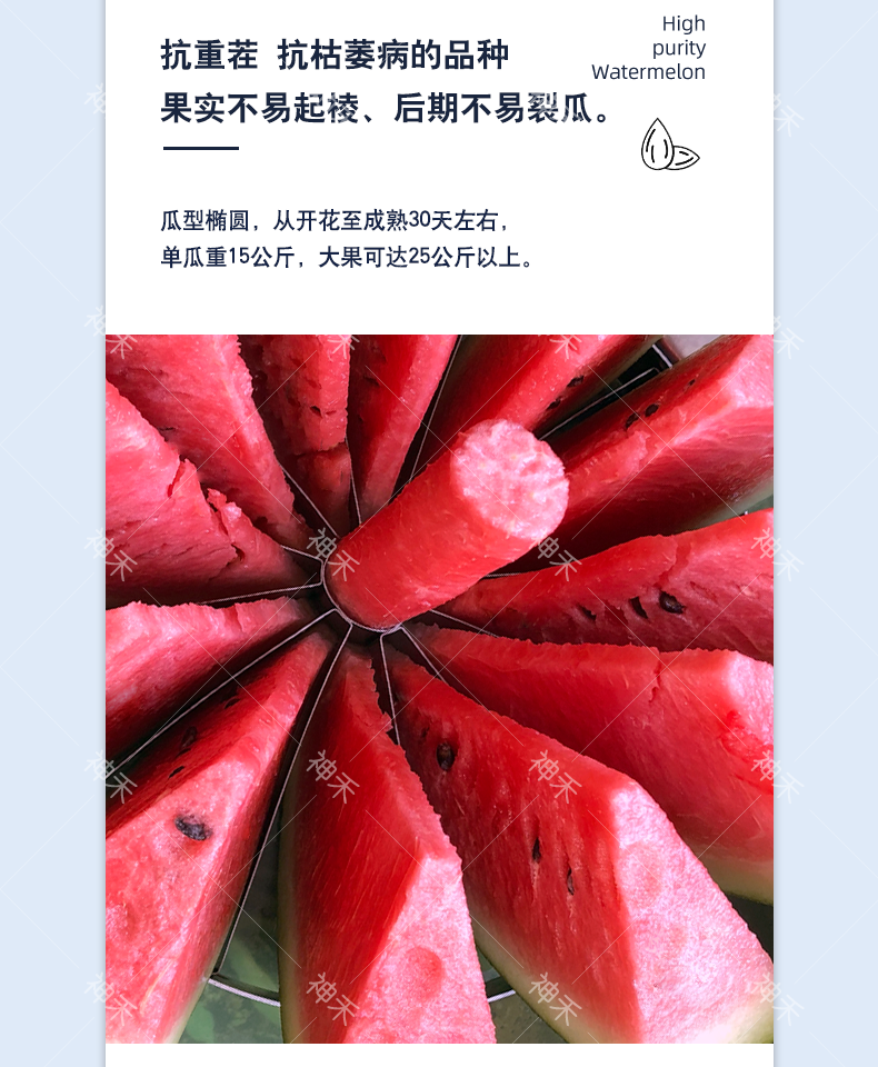 详情3.png