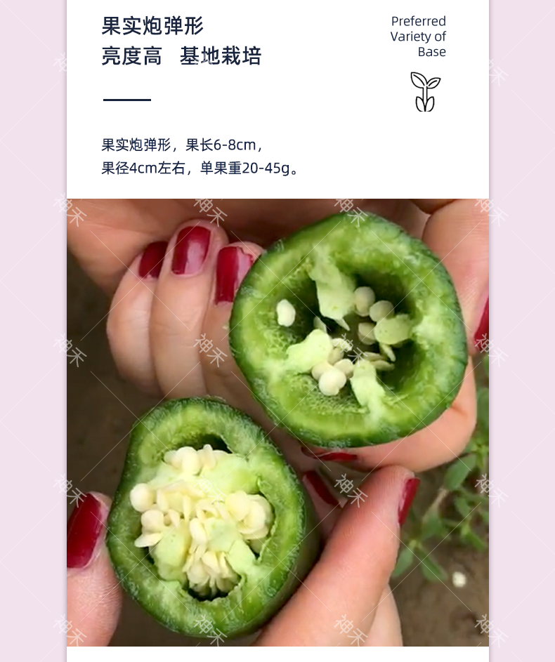 详情4.png