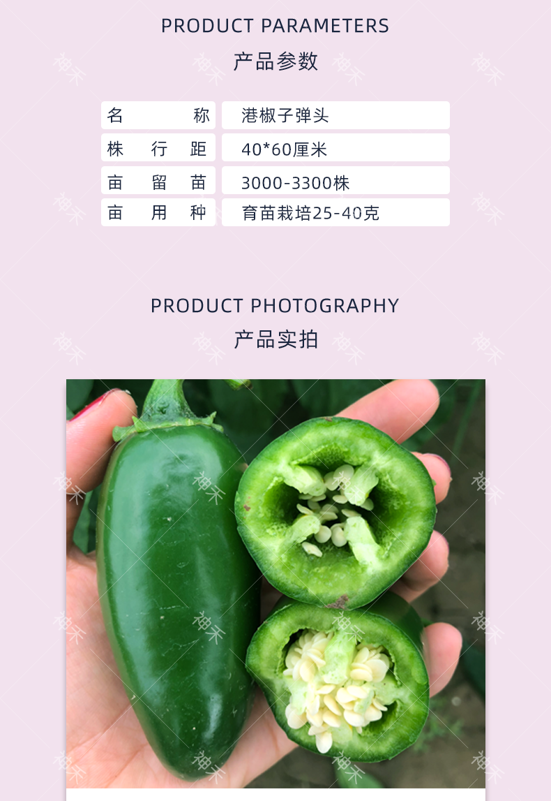 详情2.png
