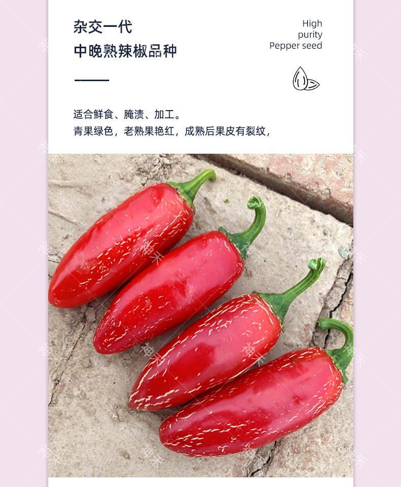 详情3.png
