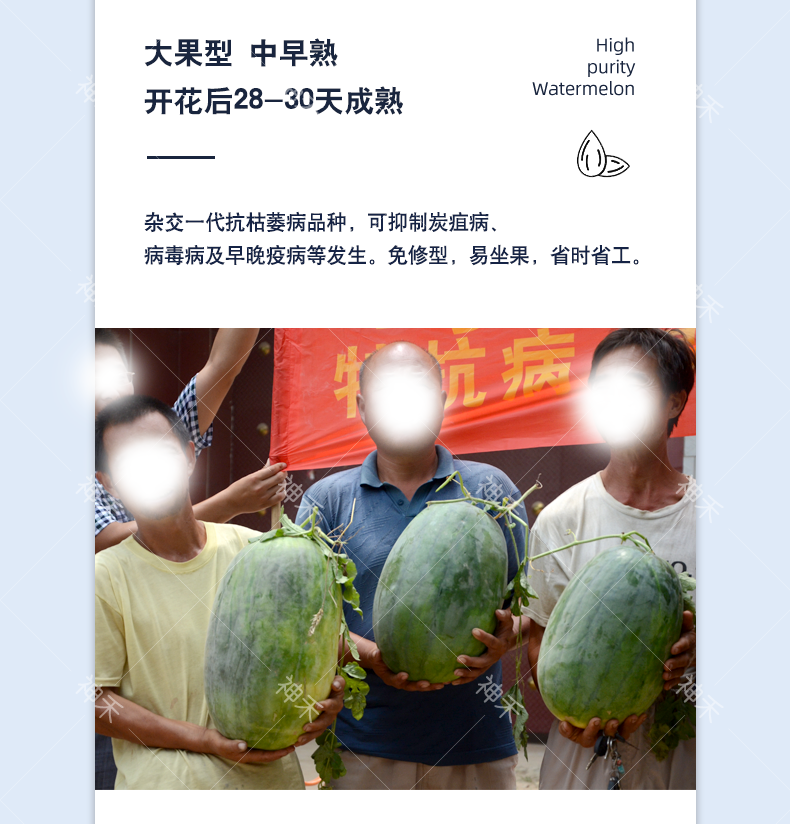 详情3.png