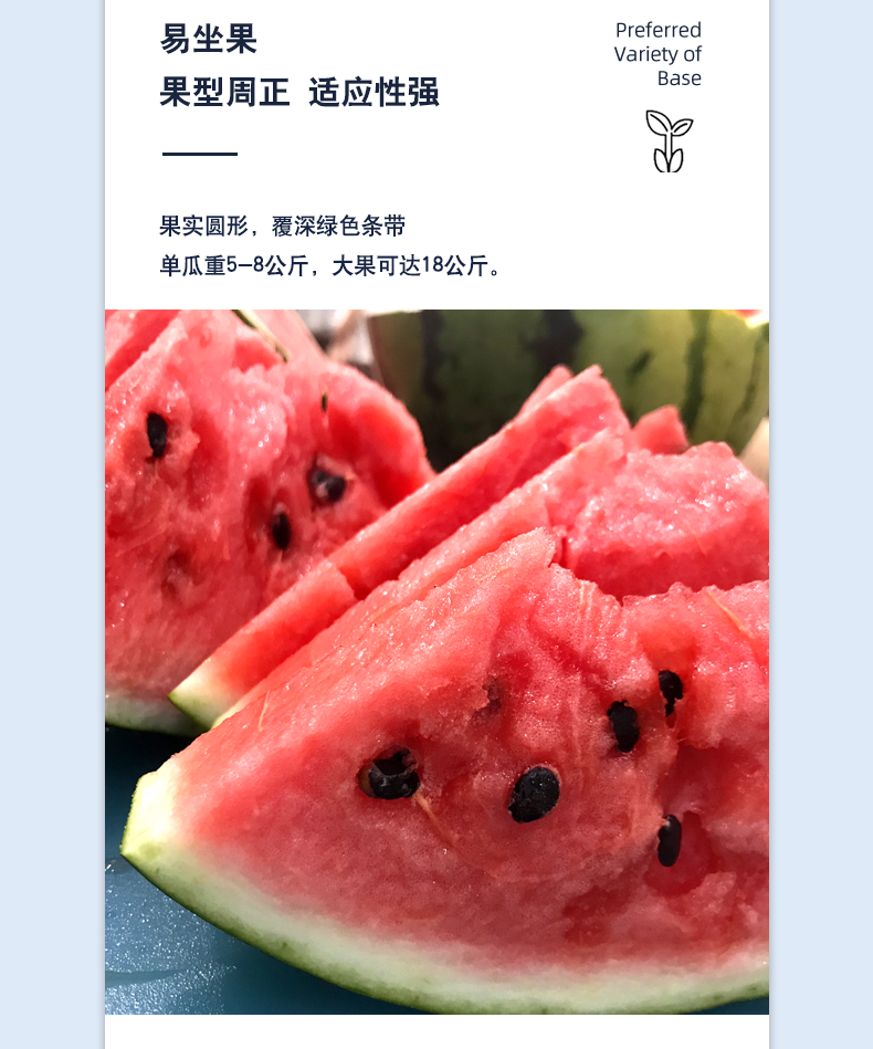 详情4png.png