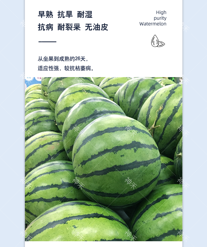 详情3.png