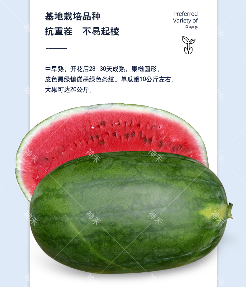 详情4.png