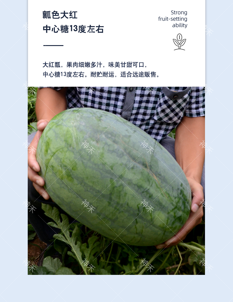 详情5.png