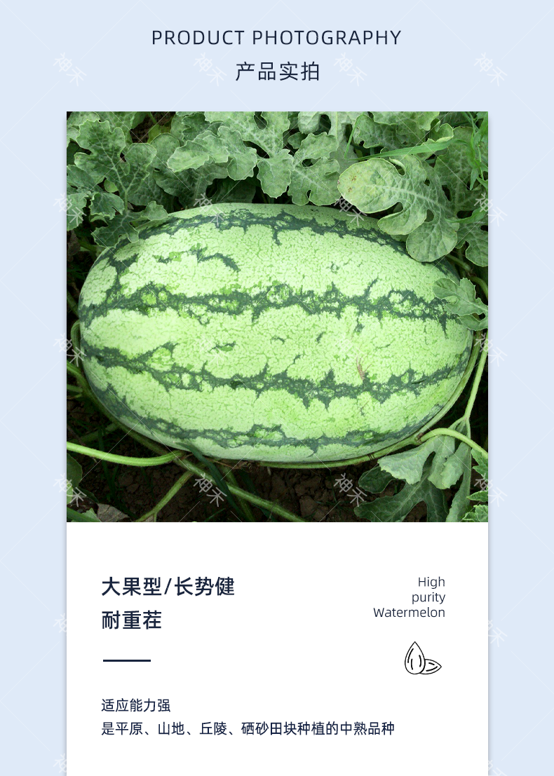详情3 (2).png