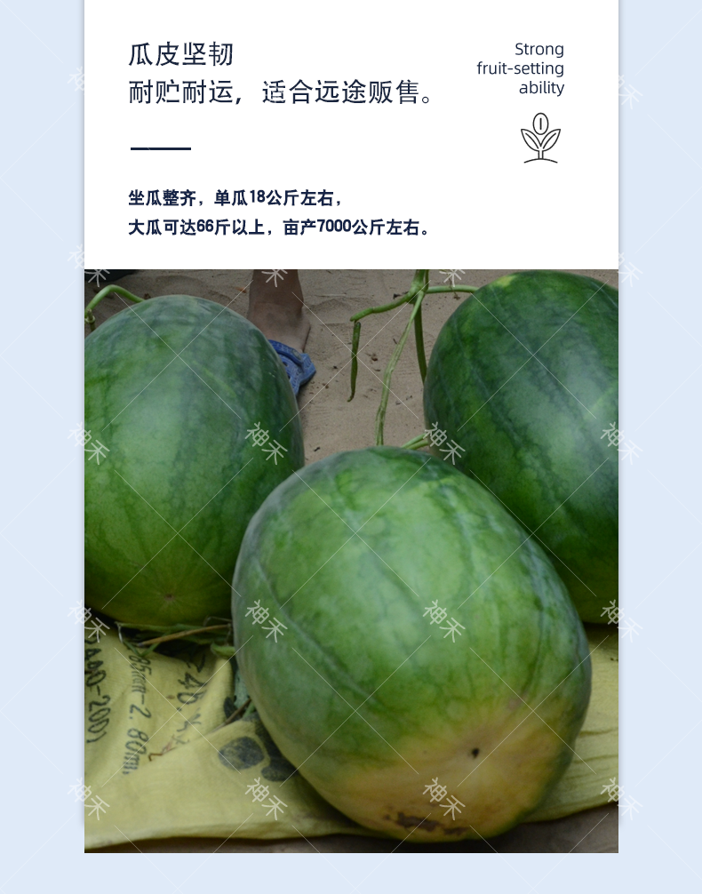 详情5.png