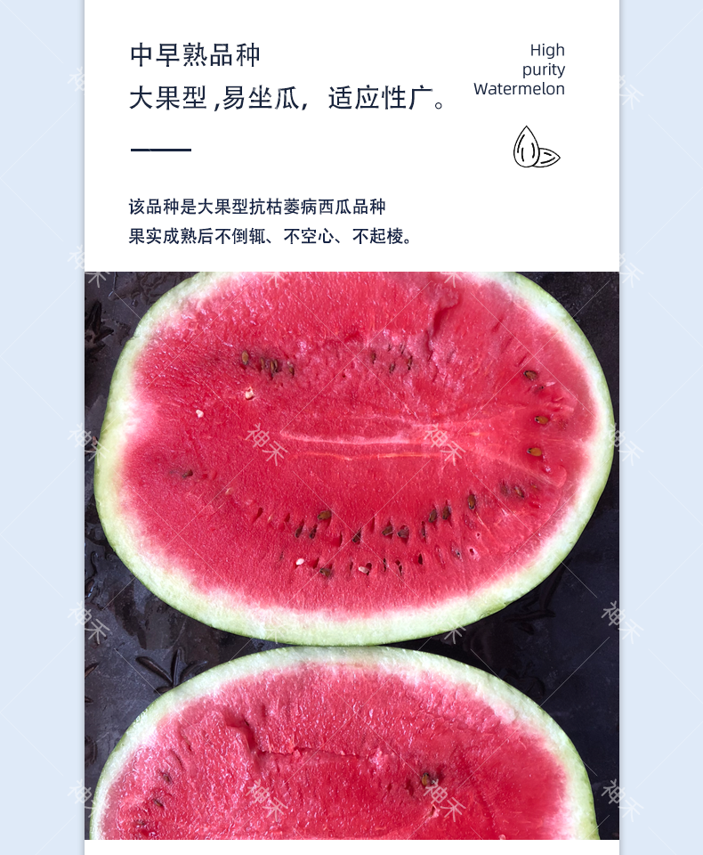 详情3.png