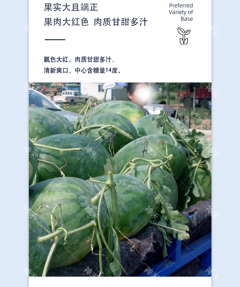 详情4.png