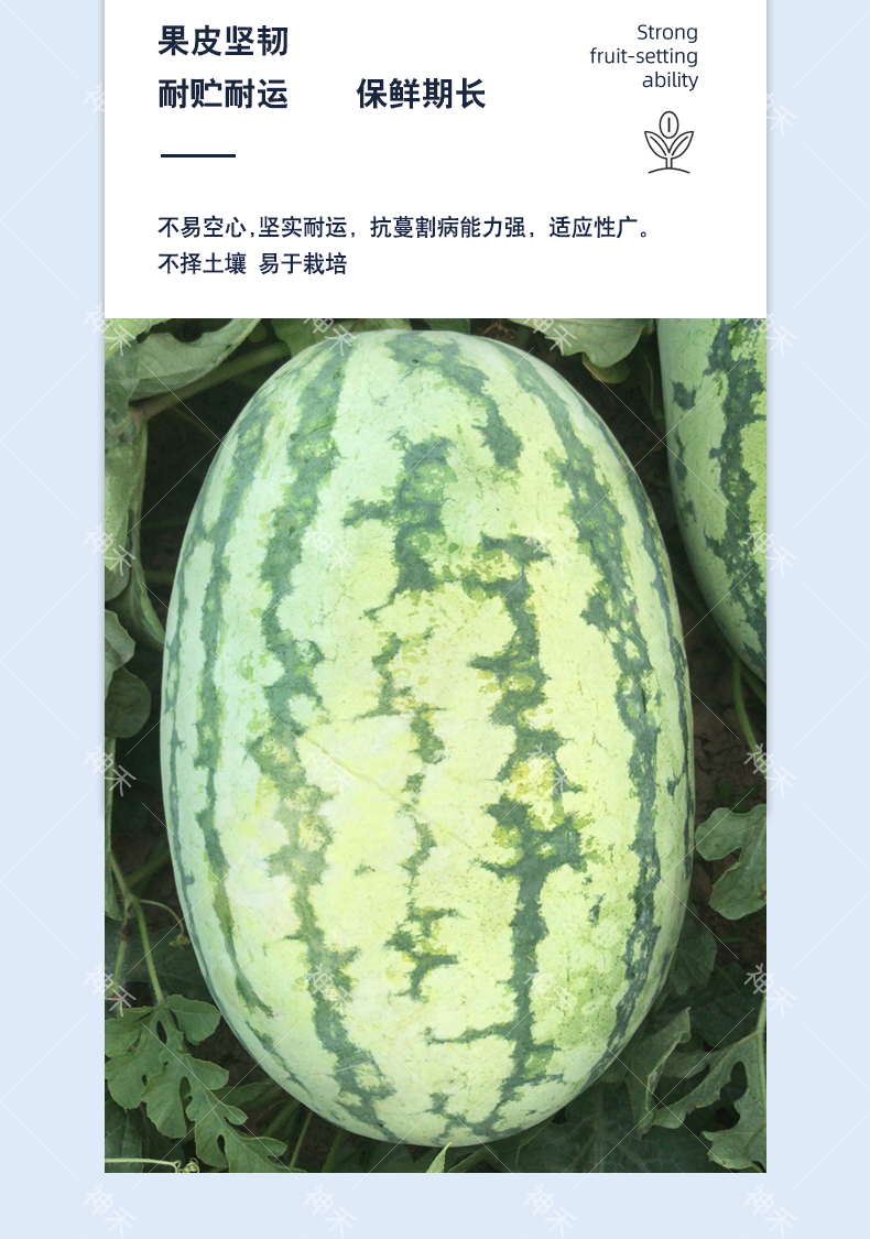详情5.png