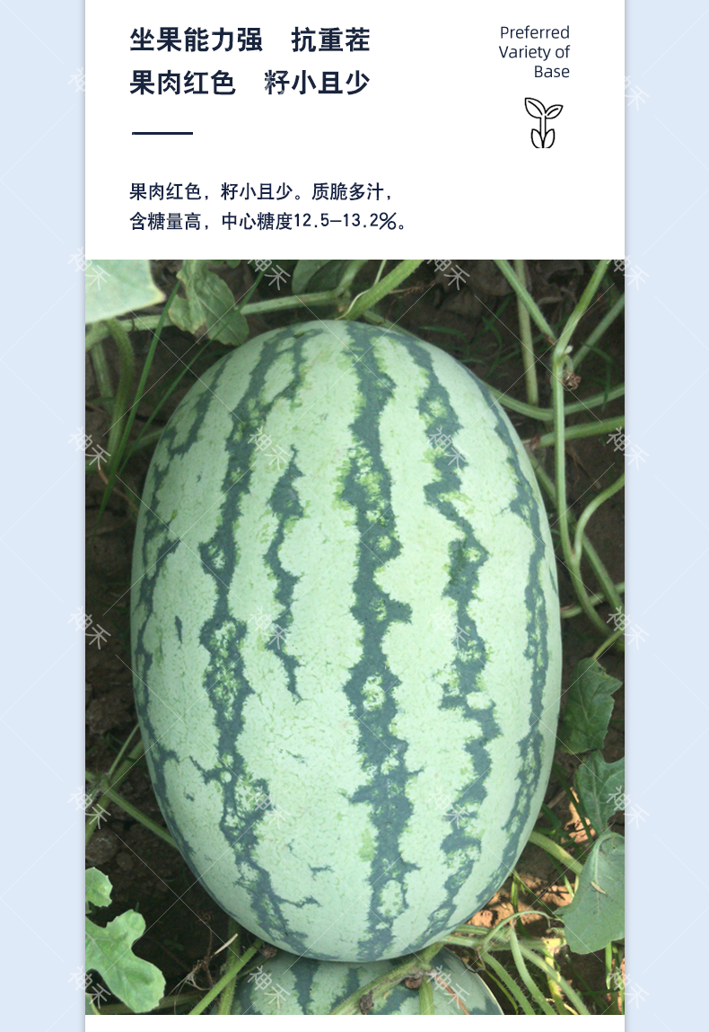 详情4.png