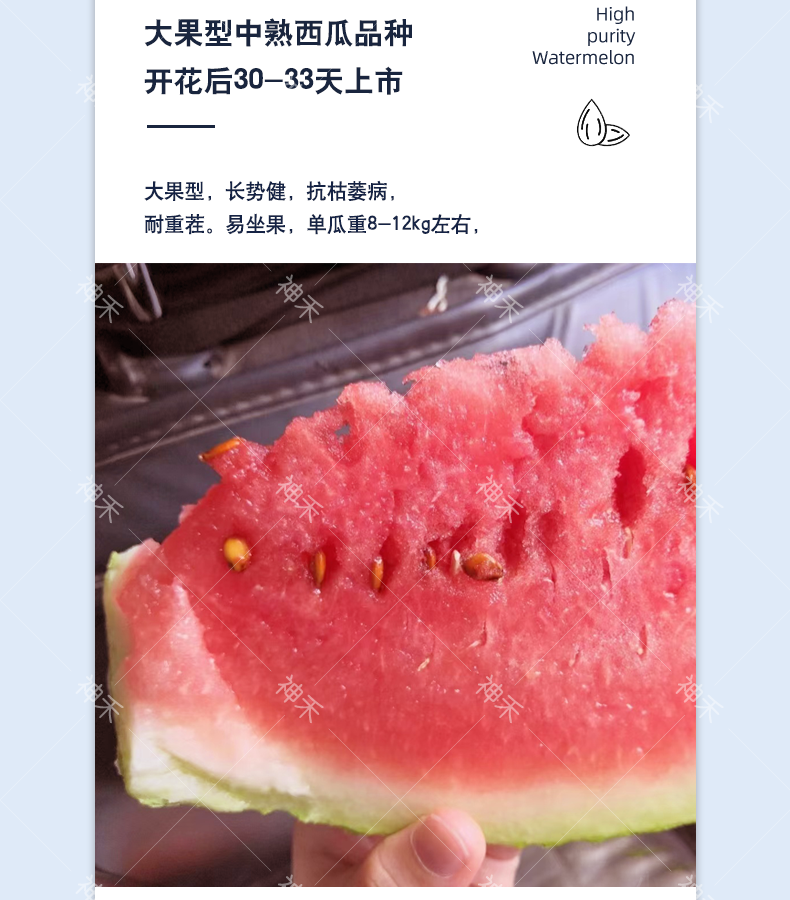 详情3.png