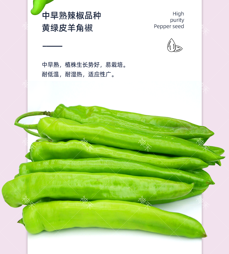 详情3.png