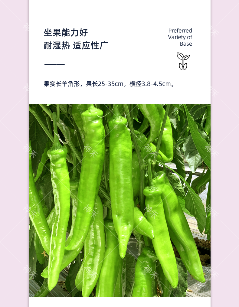 详情4.png