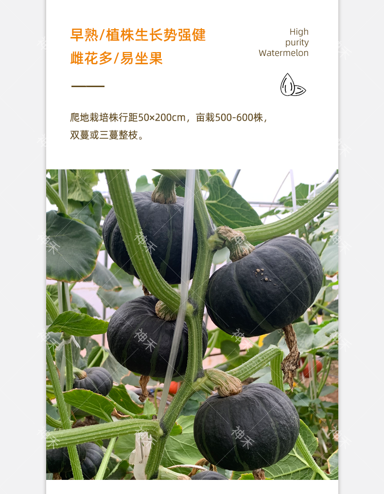 详情3.png