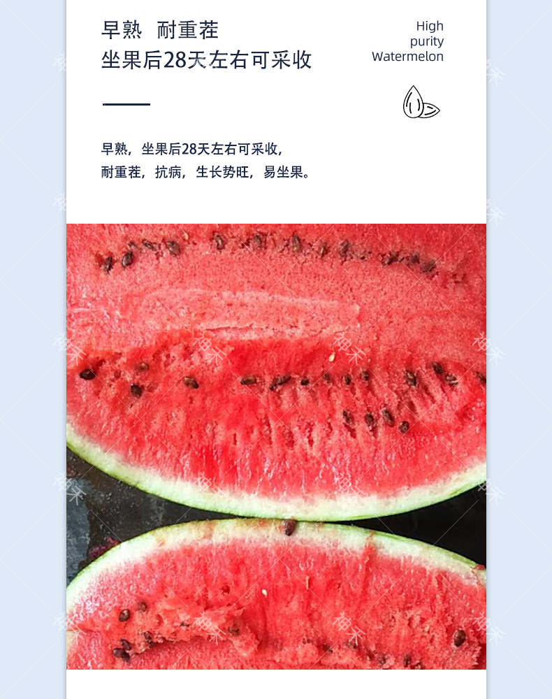 详情3.png