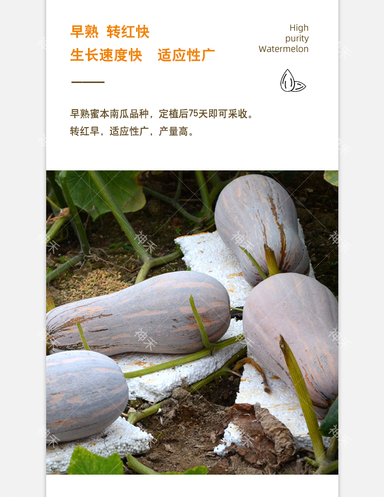 详情3.png