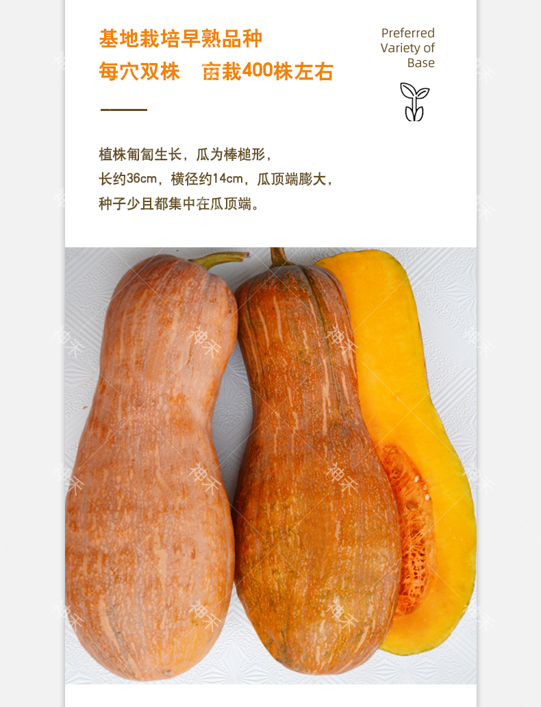 详情4.png